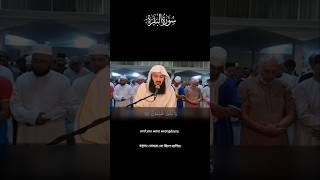 AL BAQARAH AYAT 5152 ।। islamic short trending [upl. by Ecnarual]