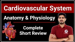 Cardiovascular System Anatomy amp Physiology Complete Short Review [upl. by Emlin]