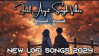 Feel Arijit Singh Vibes। slowed Reverb । lofi song।new lofi songs 2024।non stop lofi songs lofi [upl. by Grew]