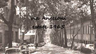 PERUGIA 1966wmv [upl. by Eceinwahs110]