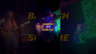 BADFISH BY SUBLIME COVERED BY THE LIP sublime reggae livemusic [upl. by Lucine]