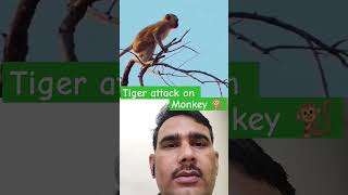 Tiger attack on monkey 🐒😭 wildlife wildlifephotography animals youtubeshorts nature shorts [upl. by Notsahc]