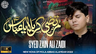 Ya Abbas  Noha Mola Abbas Latest  Title Noha 2022  Syed Zain Ali Zaidi [upl. by Nedda491]