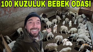 100 KUZULUK BEBEK ODASIİLK YEMKUZU BAKIMI MERAYA CIKIYORUZ [upl. by Cora]