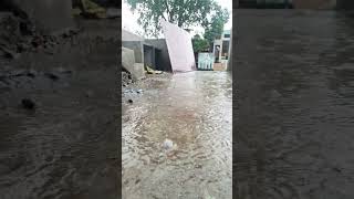 Rain status video nature photography rain youtubevideo ytshorts shorts trendingvideo [upl. by Dennison437]