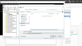 How to export certificate to pfx [upl. by Cirnek846]