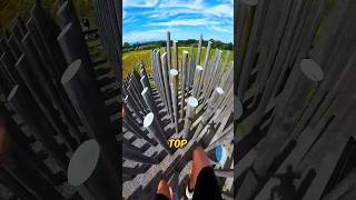 Never Climb Such Poles shortsvideo [upl. by Eileen]