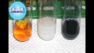 How to do Starch test with iodine indicator [upl. by Nek227]