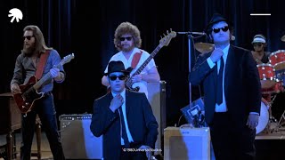 The Blues Brothers Everybody needs somebody HD CLIP [upl. by Eirok845]