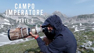 Campo Imperatore  Fotografia naturalistica parte 2 [upl. by Glarum]