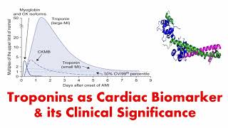 Troponins as Cardiac Biomarker its Importance ampClinical Significance  Cardiac Troponin cTnT cTnI [upl. by Siekram]