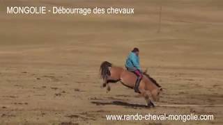 MONGOLIE  Dressage dun cheval par les nomades  Une vidéo RANDO CHEVAL agence de voyage équestre [upl. by Eelaroc]