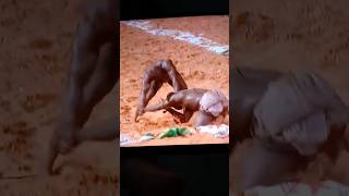 Danou amna wala amoul  MODOU LO vs SITEU modoulo siteu lamb lutte senegal [upl. by Tioneb147]