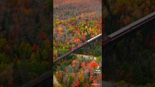 Magical train ride through Agawa Canyon Sault Ste Marie Canada train fallcolors autumn [upl. by Aelegna485]