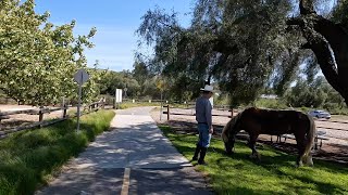 San Juan Creek and Trabuco Creek Trails [upl. by Woody]