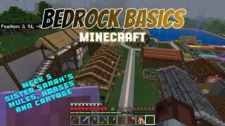 Sister Sarahs Mules Horses and Cartage  Bedrock Basics Wild Coast Week 5 [upl. by Tarryn]