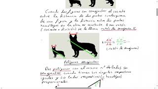 Polígonos semejantes Razones entre longitudes áreas y volúmenes Matemáticas para 3º y 4º de ESO [upl. by Bryon512]