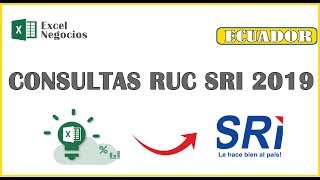 Macro Excel Consulta masiva RUC SIR Ecuador 2019 [upl. by Clark]