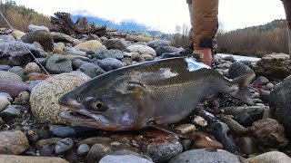 Salmon Fishing in BC 🎣November hatch 🐟 Chilliwack River Fishing [upl. by Bamberger]