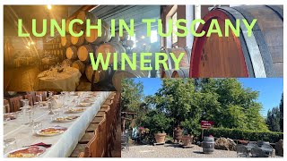 LUNCH AT WINERY SAN GIMIGNANO  ITALY TRAVEL SERIES [upl. by Jovitah848]