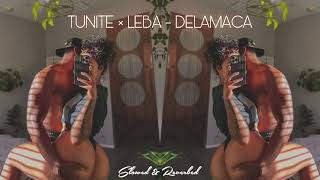 TUNITE × Leba  Delamaca Slowed amp Reverbed [upl. by Fleck]