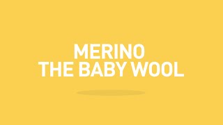 Merino The Baby Wool [upl. by Nylyoj]