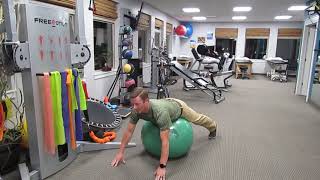 2 Great Multifidus and Lumbar Extensor Exercises for Low Back Pain [upl. by Lucania]