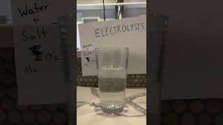 Electrolysis Water Experiment [upl. by Goodden]