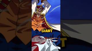 One piece GIANTS Legendary Warriors [upl. by Yerg]