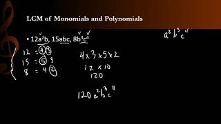 LCM of Monomials and Polynomials [upl. by Annailuj]