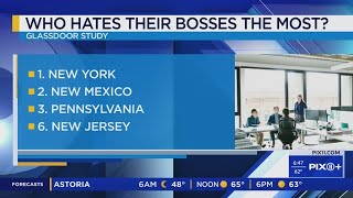 New Yorkers hate their bosses the most Glassdoor [upl. by Caria]