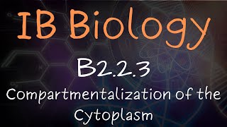 Compartmentalization of the Cytoplasm  B223 [upl. by Elana259]