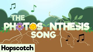 The Photosynthesis Song [upl. by Elinore]