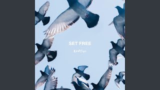 Set Free [upl. by Annaej]