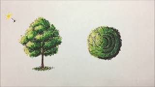 Como dibujar árboles con marcadores arquitectura  How to draw trees with markers architecture [upl. by Ecraep306]