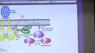 Kevin Aherns BiteSized Biochemistry 19 Cellular Signaling II [upl. by Akem194]