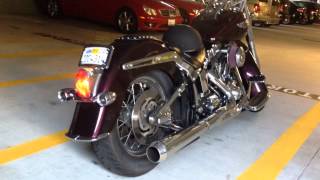 2006 Softail Deluxe FLSTN Bassani Road Rage and SampS 583 cams [upl. by Yeldahc]