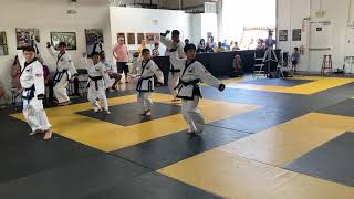 Bassai Tang Soo Do Form [upl. by Fine]