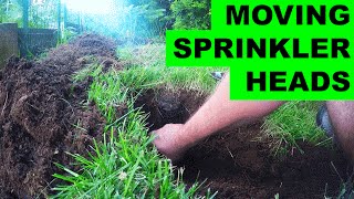 How to move irrigation sprinkler heads [upl. by Zorana]