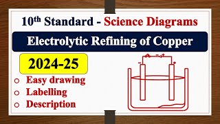 Electrolytic Refining of Copper diagram DRAWING  LABELLING  SSLC  SCIENCE  Chemistry [upl. by Klenk123]