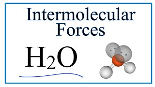 Intermolecular Forces for H2O Water [upl. by Bogosian460]