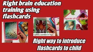 How to introduce flashcards to baby  flashcards games for kids  flashcards activities Right brain [upl. by Eleonora653]