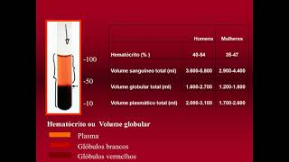 Aula 1 Introdução à Hematologia para interpretação das Anemias [upl. by Ybeloc]