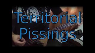 N219 Territorial Pissings  Nirvana – Baixo Cover  Como tocar  How to play – Bass [upl. by Enirac]