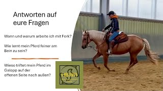 Die Westernreitstunde Antworten auf eure Fragen zu Fork und Schenkelhilfe [upl. by Standush]