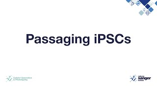 Passaging iPSCs [upl. by Aehc]