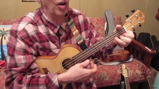 Everybody Loves a Little Bunny Rich Davis Original Song Thin Uke [upl. by Gatias]