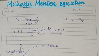 MichaelisMenten Equation In Hindi  Biochemistry [upl. by Ysied]