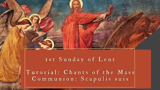 1st Sunday of Lent  Communion Scapulis suis Tutorial [upl. by Cleopatre171]