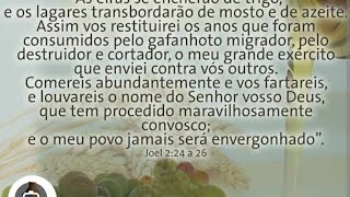 CONSCIÊNCIA DE MISSÃO INSEJEC DECRETO DE 1993  Leonardo Mendes [upl. by Aicilav]